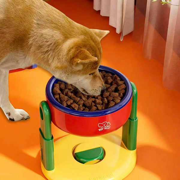 Pet Feeding & Hydration